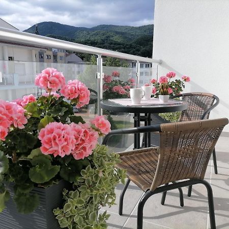 Svjetlanalex 2 Apartment Banja Koviljača Екстериор снимка