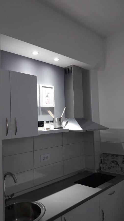 Svjetlanalex 2 Apartment Banja Koviljača Екстериор снимка