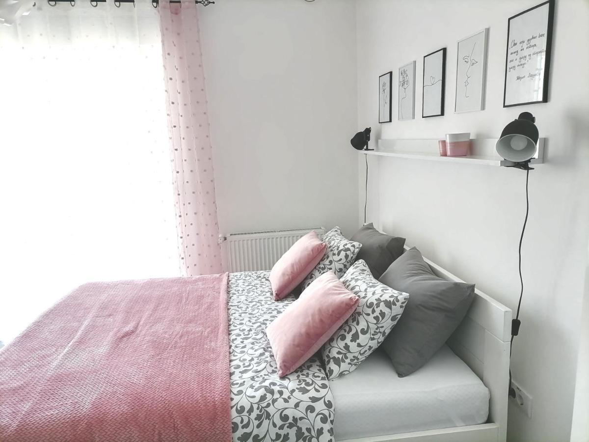Svjetlanalex 2 Apartment Banja Koviljača Екстериор снимка
