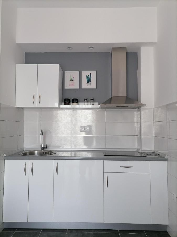 Svjetlanalex 2 Apartment Banja Koviljača Екстериор снимка
