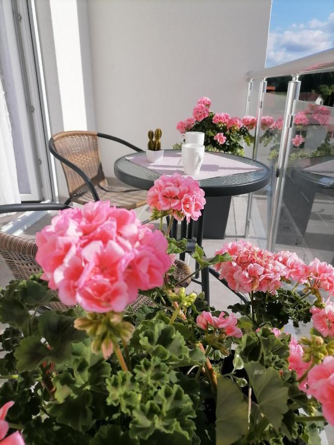Svjetlanalex 2 Apartment Banja Koviljača Екстериор снимка